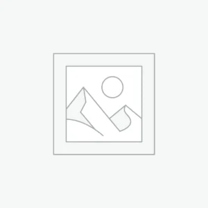 Your Multilingual AI Guide